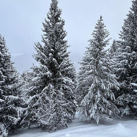 Bellavista Marilleva 1400 - Val Di Sole Leilighet Eksteriør bilde