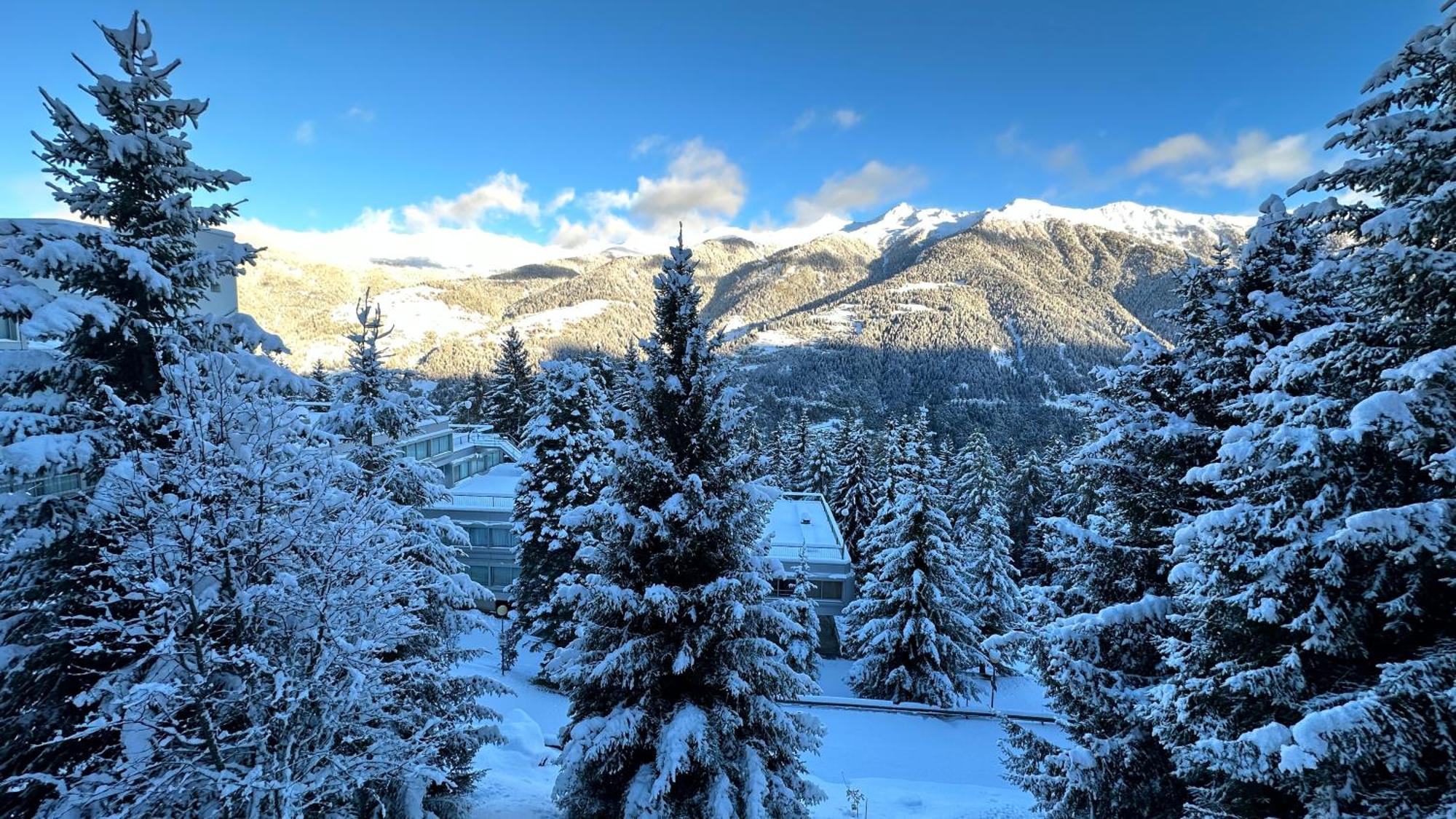 Bellavista Marilleva 1400 - Val Di Sole Leilighet Eksteriør bilde
