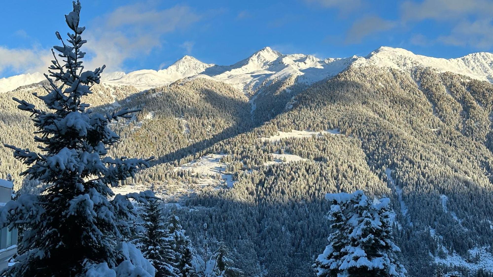 Bellavista Marilleva 1400 - Val Di Sole Leilighet Eksteriør bilde